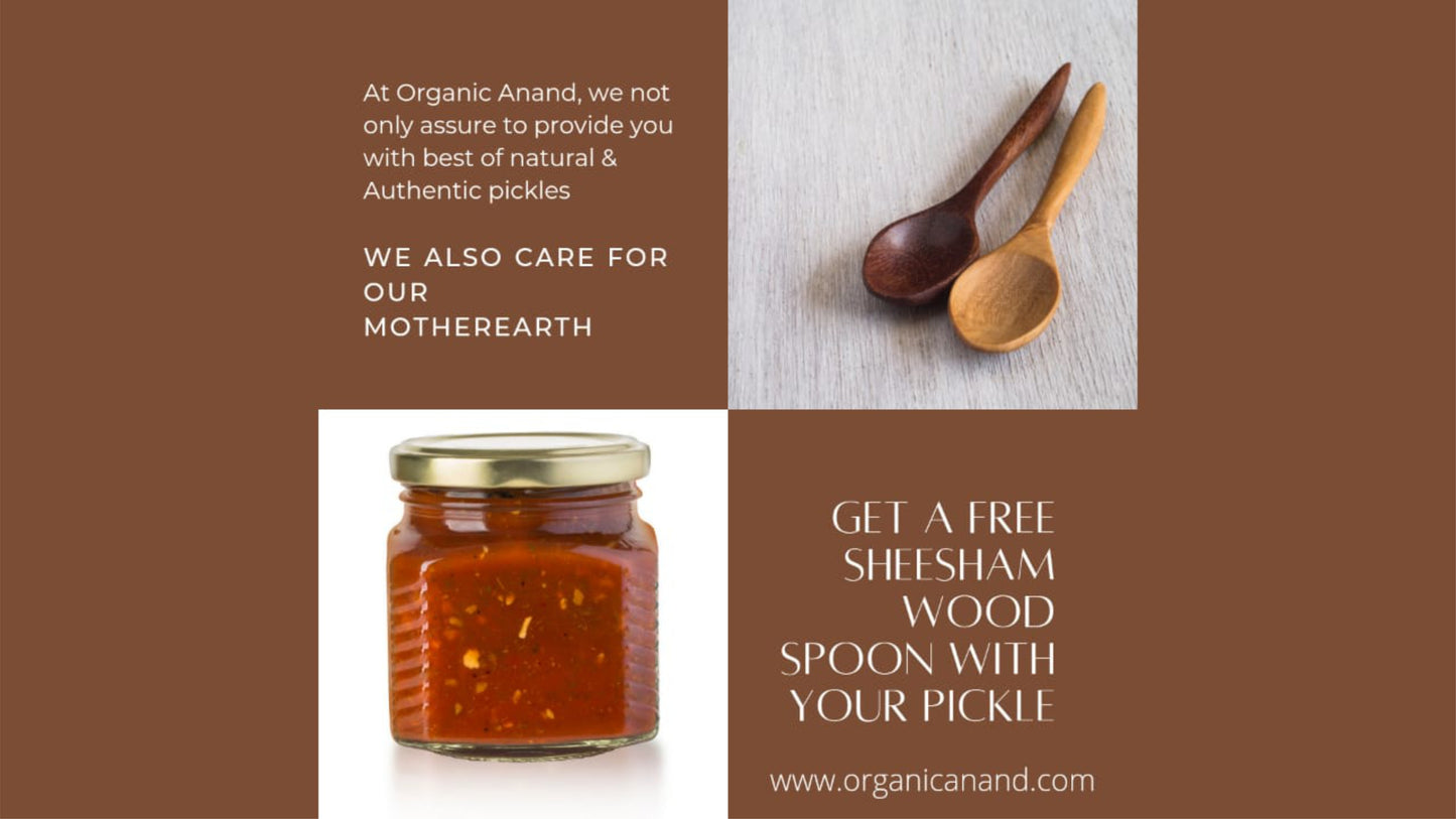 Organic Anand Homemade Nimadi Nimbu Pickle 500gram and Amla Pickle 500gram Combo with Neemwood Spoon Pack of 2 Indian Gooseberry Achaar