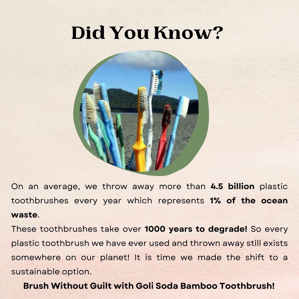 Goli Soda Natural Bamboo Tooth Brush for Adults (Pack of 2)