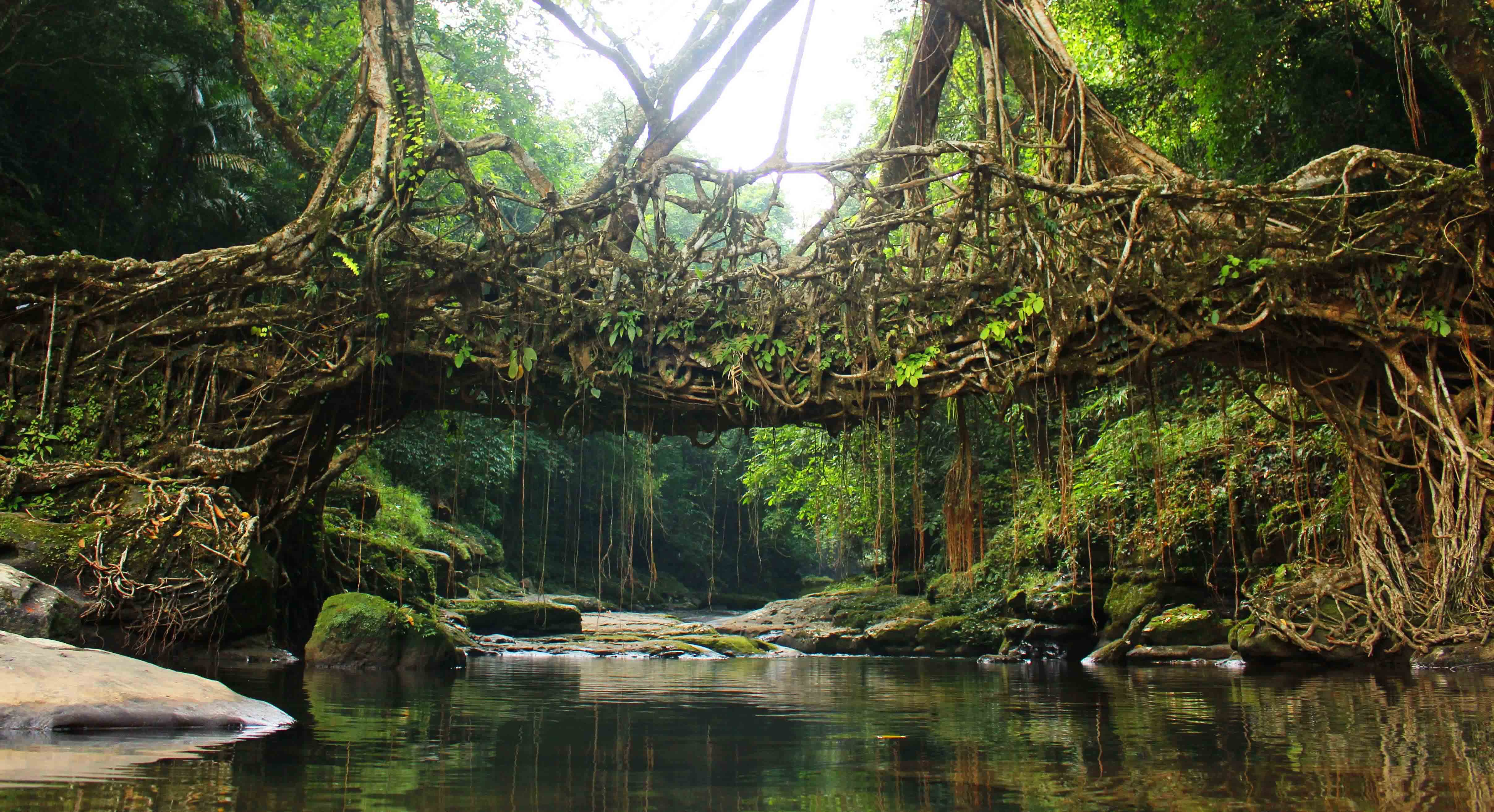 2,963 Meghalaya Stock Photos, High-Res Pictures, and Images - Getty Images