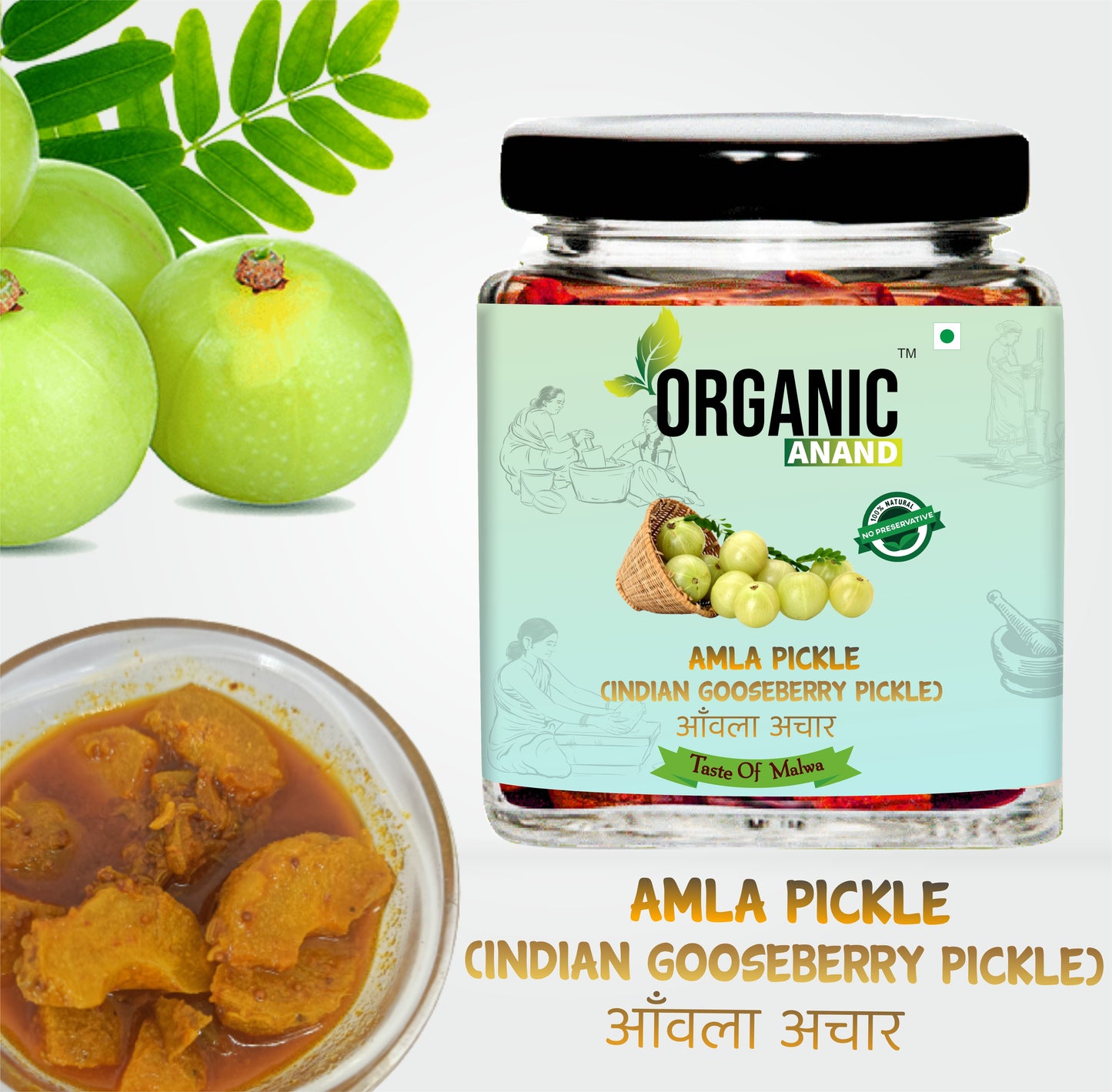 Organic Anand Homemade Indian Gooseberry Amla Pickle 250gram and Garlic Turmeric Pickle 250gram with Neemwood Spoon Haldi Lahsun Amla 500 Gram Combo Pack of 2