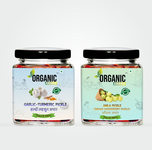 Organic Anand Homemade Indian Gooseberry Amla Pickle 250gram and Garlic Turmeric Pickle 250gram with Neemwood Spoon Haldi Lahsun Amla 500 Gram Combo Pack of 2