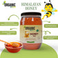 Organic Anand Authentic Raw Himalayan Wild Forest Honey Unprocessed and Natural Shahad (250gm Glass Jar)