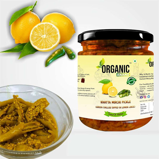 Organic Anand Homemade Natural Green Chilli Pickle 500 Gram Hari Mirchi Ka Achar Dipped in Lemon Juice Khatta Spicy No Preservative