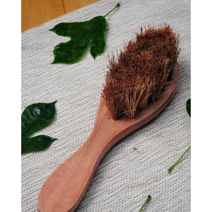 Almitra Sustainables Coconut Fiber - Dry Body Brush