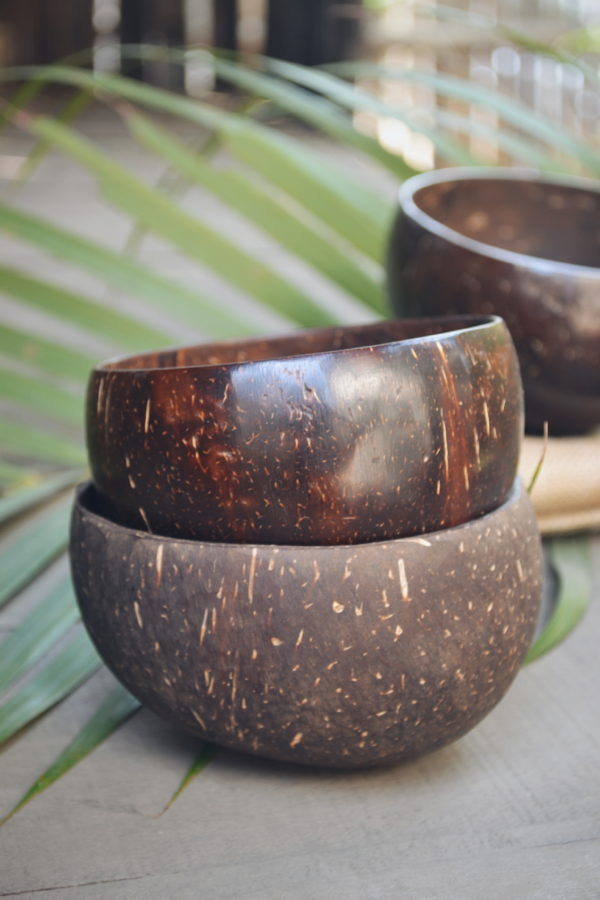 Almitra Sustainables Coconut Bowl (Pack of 2)