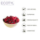 Dried Blueberres & Dried Cranberries Combo | Healthy Snacks | Dried Fruits | 150g Each