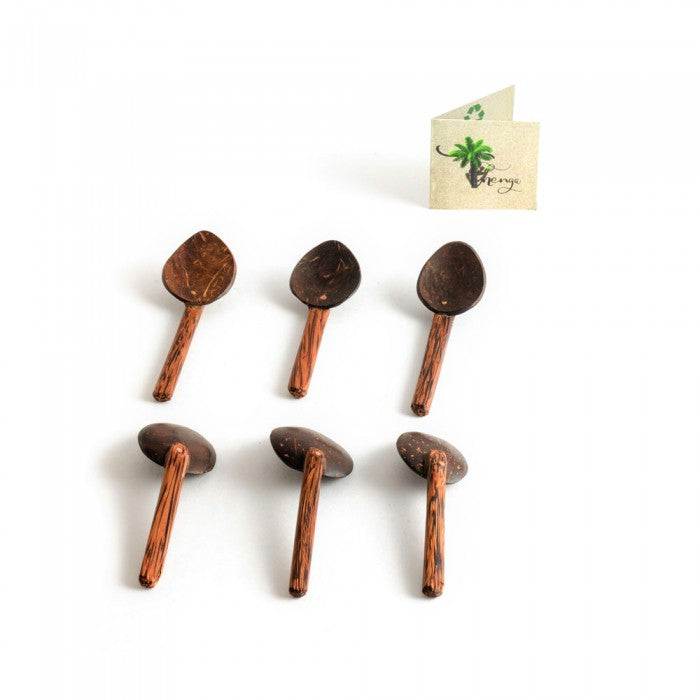 Thenga Coconut Shell Masala Spoon Set Of 6 For Small Containers