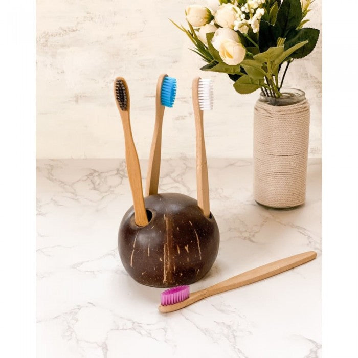 OnEarth Coconut Shell Toothbrush Holder