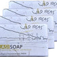 Wild Ideas Hand Made Soap Tulasi 100G (Pack Of 4)