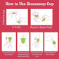 Stonesoup Reusable Fuschia Menstrual Cup