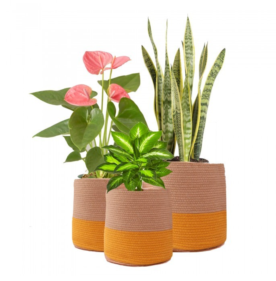 OnEarth Dual tone Jute Baskets Set of 3