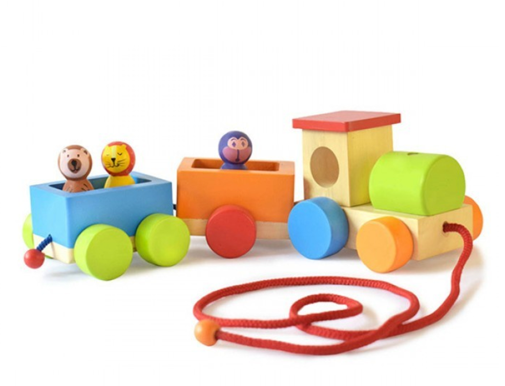 Shumee Jungle Toy Train Set (3 -6 Years)