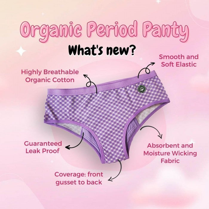 SochGreen Organic Period Panty (Hipster) (1 pc)