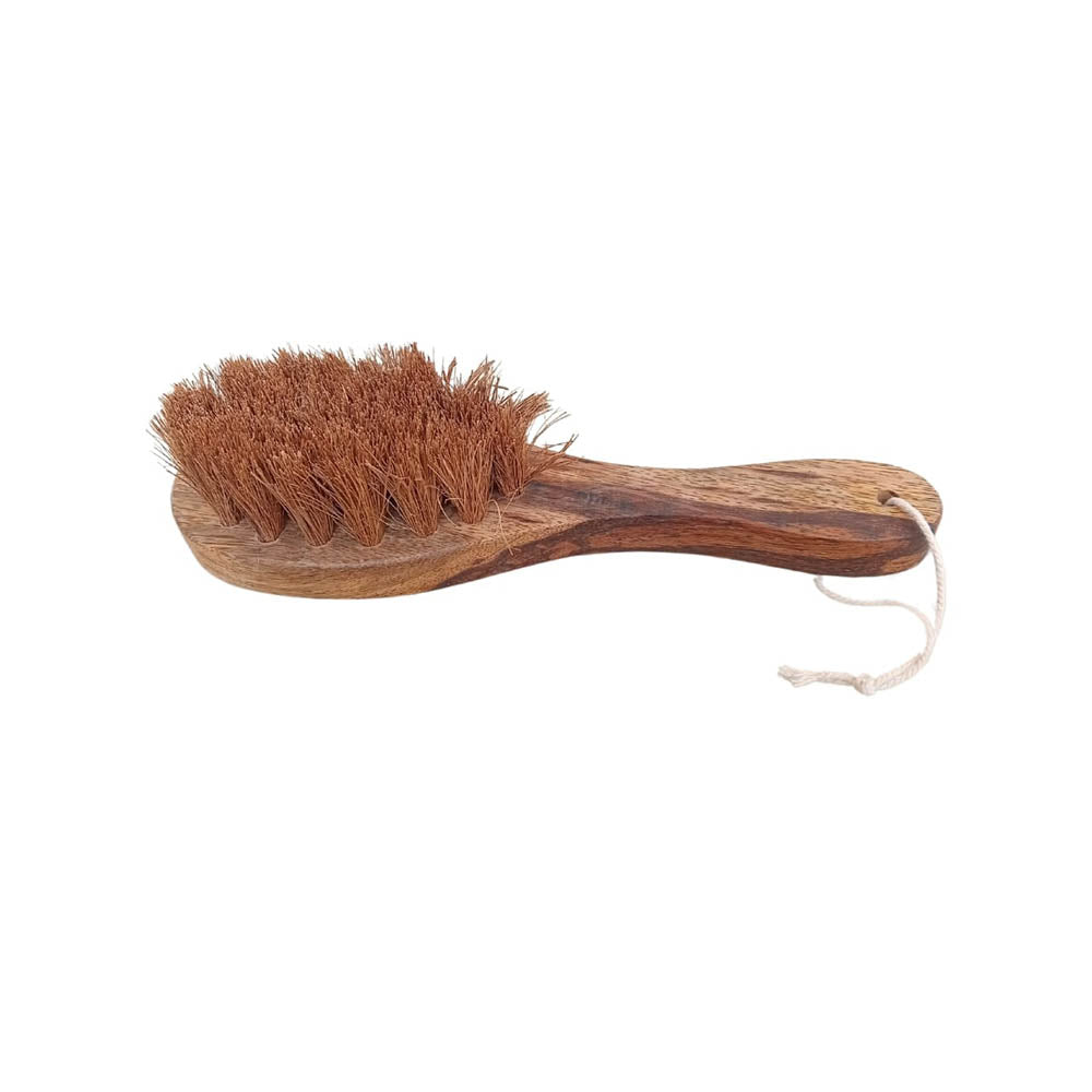 Hamza Gift House Coir Dry Body Brush