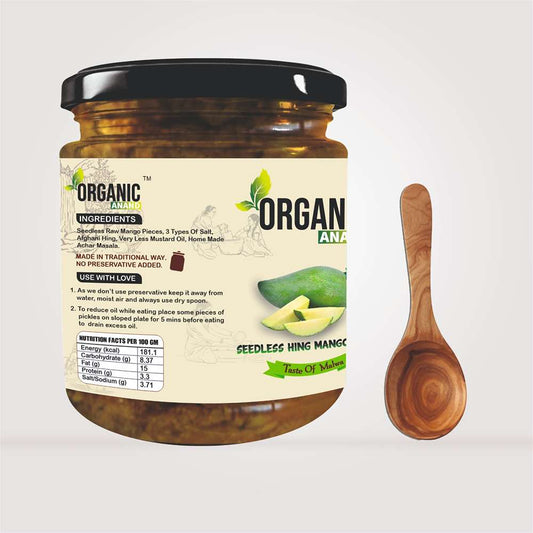 Organic Anand Homemade Seedless Hing Mango Pickles 500gram Oil-Free Traditional Khatta Aam ka Achar with Neemwood Spoon No Preservative