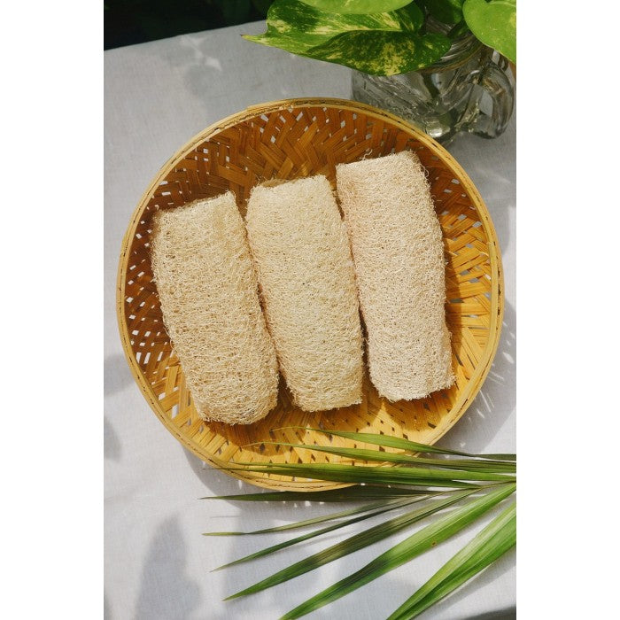 Almitra Sustainables Loofah Sponge – Natural Bathing Scrub (Pack of 3)